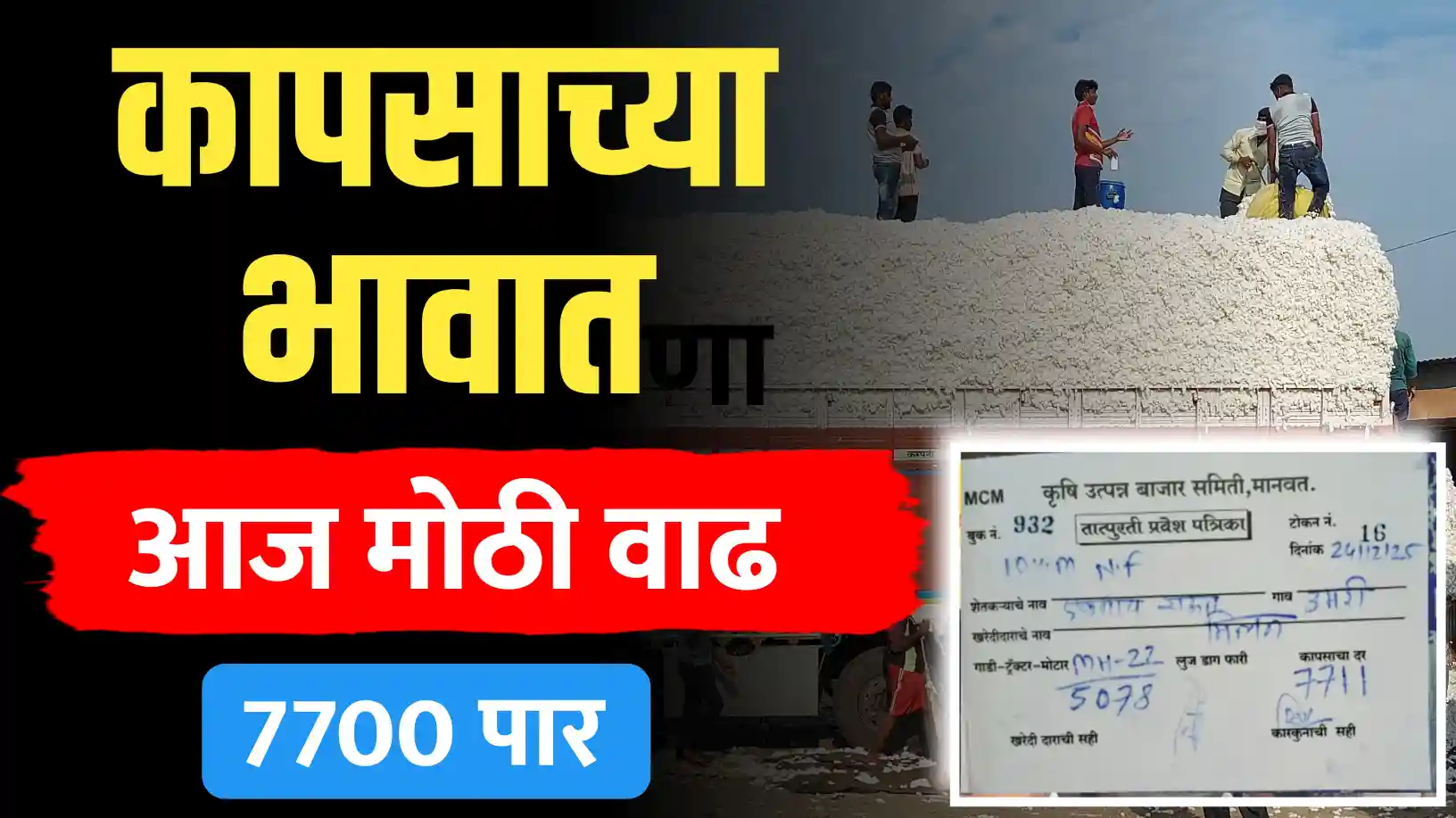 कापसाच्या भावात मोठी वाढ