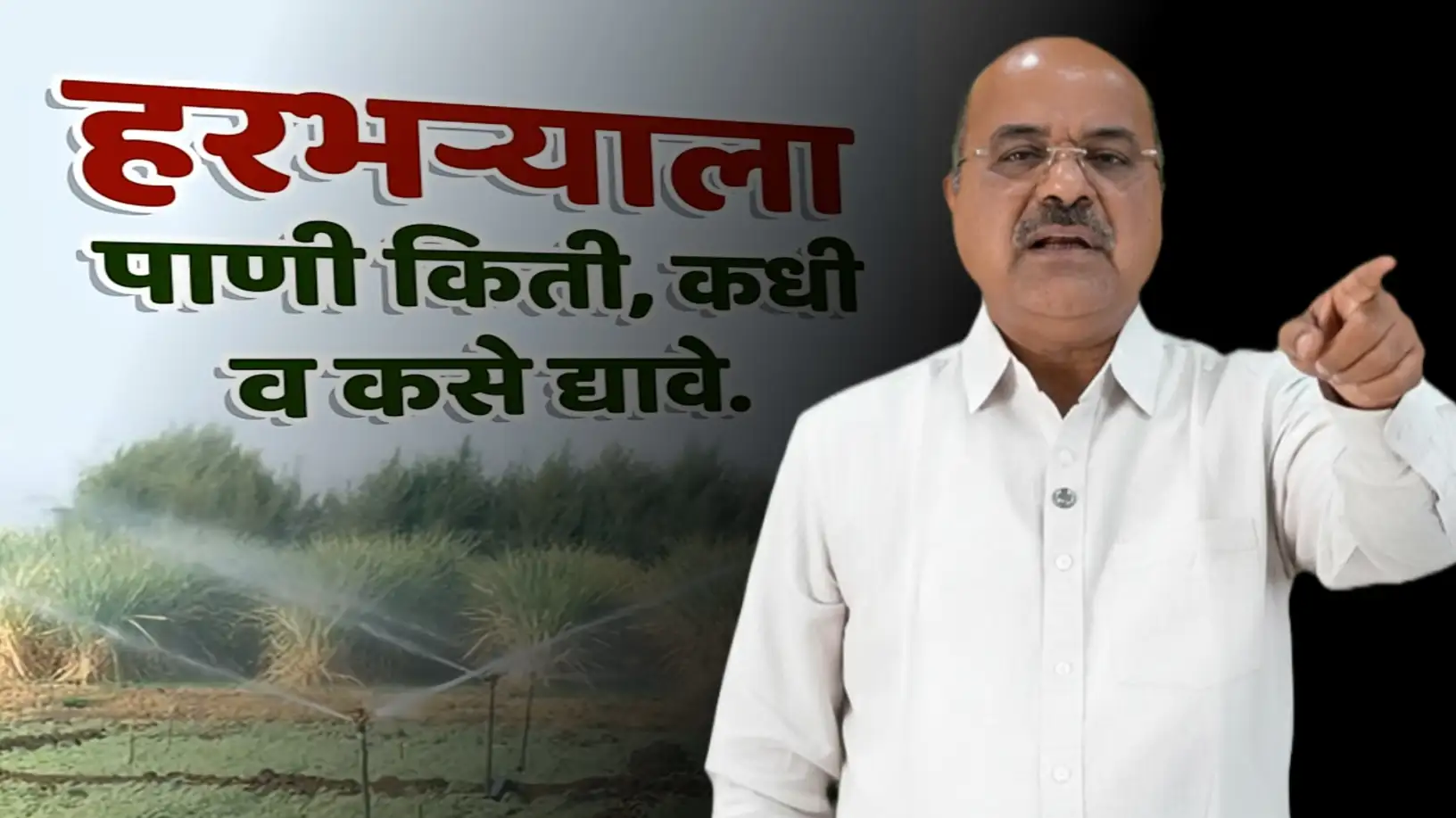 हरभरा पीक पाणी